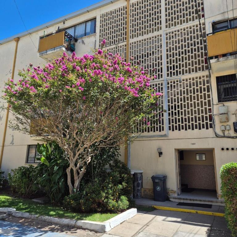 Acogedor departamento en el centro de Viña del Mar - Two-Bedroom Apartment with Garden View - 8