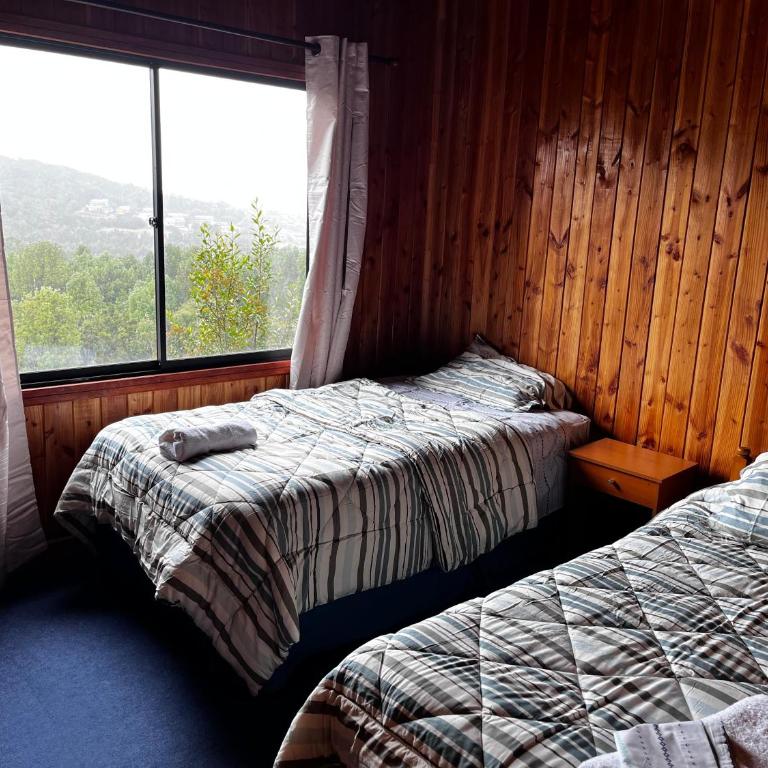 Almendras - One-Bedroom Apartment - 3