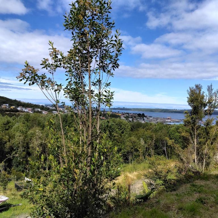 Almendras - One-Bedroom Apartment - 4