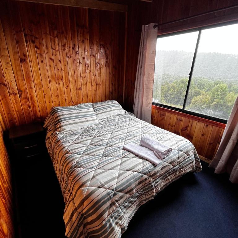 Almendras - One-Bedroom Apartment - 6