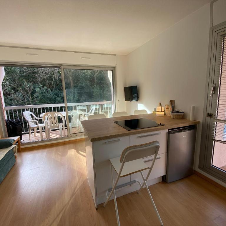Studio Cabine Central avec Terrasse & Parking Sécurisé - FR-1-374-243 - Studio - 5