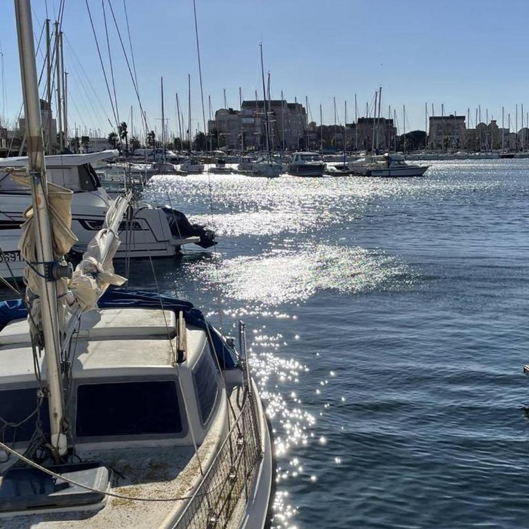 Studio 4 Pers avec Clim et Parking, Gruissan Port - FR-1-619-136 - Studio - 12
