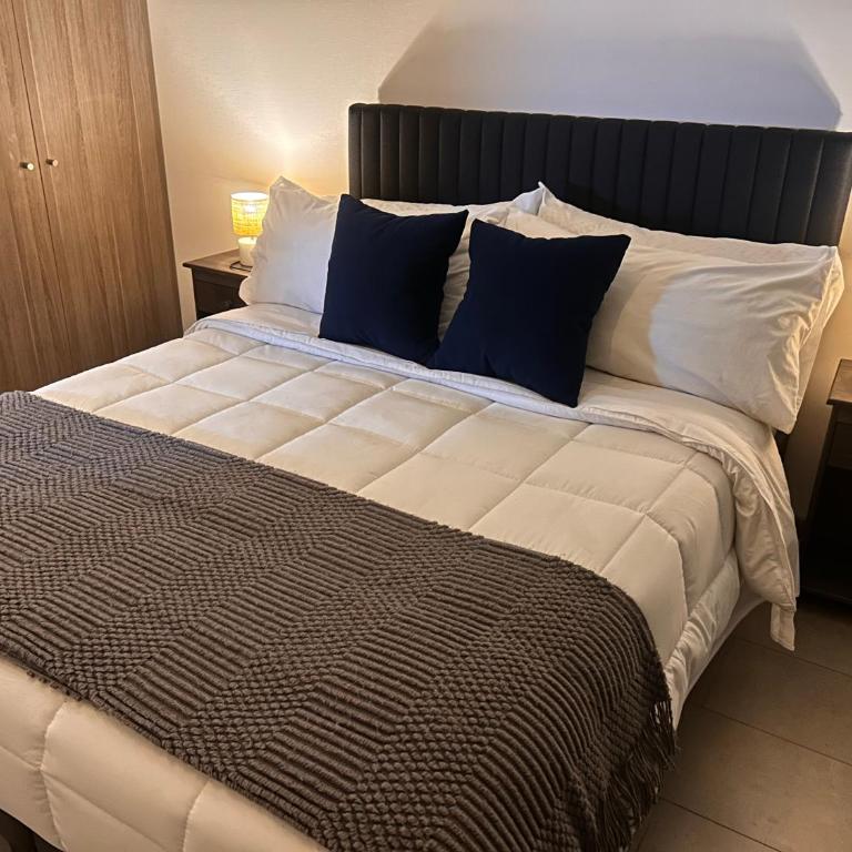Increible departamento en Macul con laguna navegable - One-Bedroom Apartment - 1