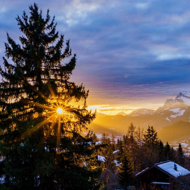 Modern Alpine Chalet a c 4BR 7P - Megève - Appartement - 19