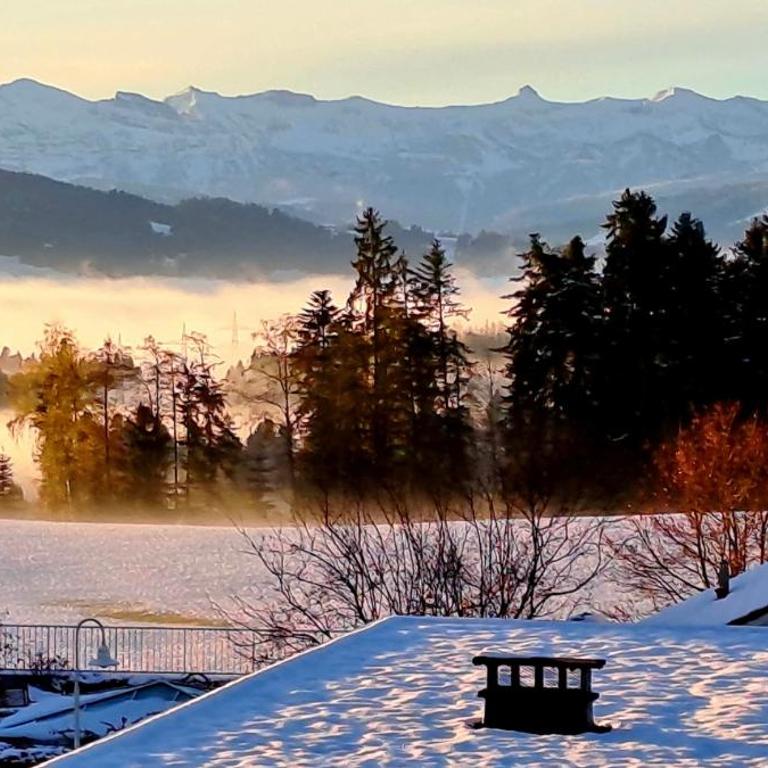Ferienwohnung Allgäu-Harmonie - Pool, Sauna, Bergblick, 2 Zimmer - Apartment mit 1 Schlafzimmer - 37
