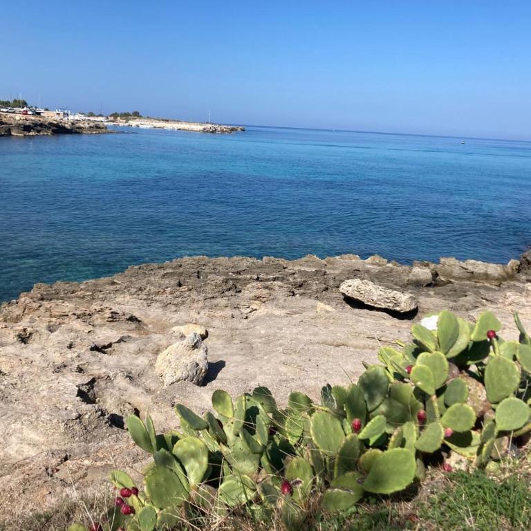 Charming Villa by the Sea in Sicily - Villa con 3 Camere da Letto - 2