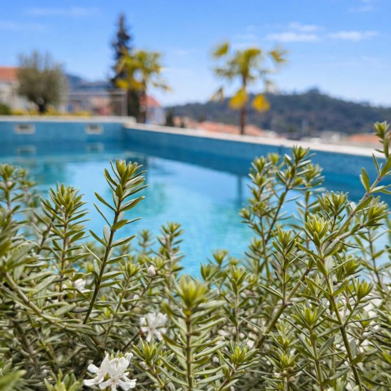 Olive apartments - Deluks Apartman s 1 Spavaćom Sobom i Pogledom na Okean - 12