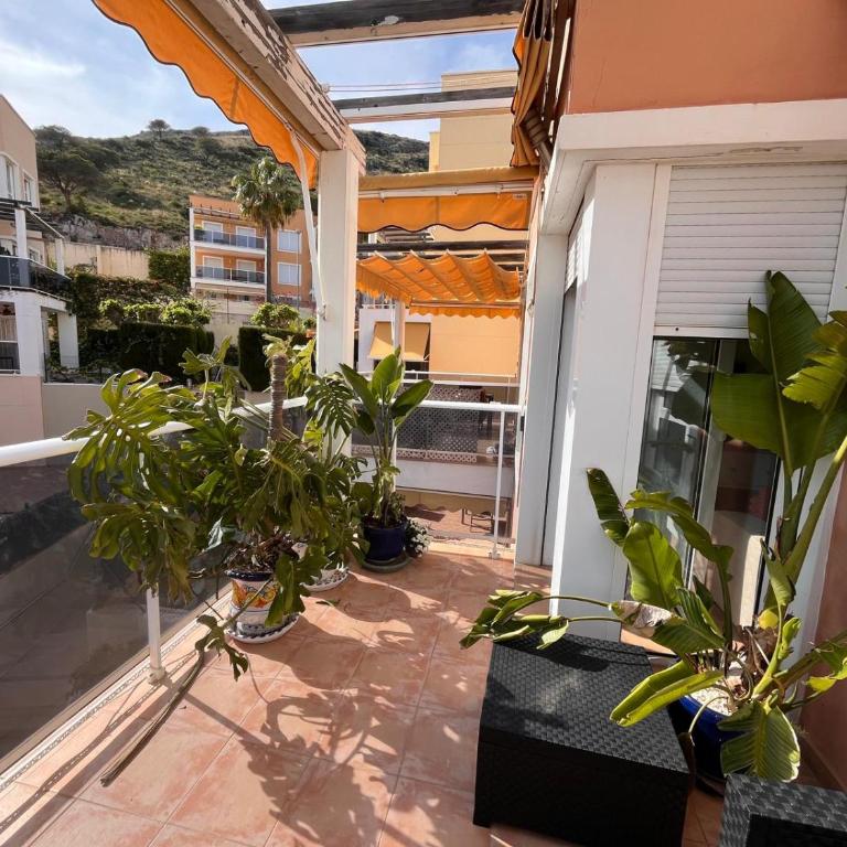 Apartamento en urbanizacion - Sofisticado y tranquilo - Apartamento de 1 dormitorio - 5