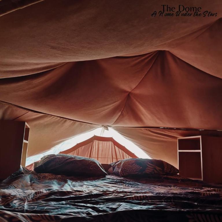 Glamping Home A Home Under the Stars - The Dome - Kuća sa 1 Spavaćom Sobom - 8