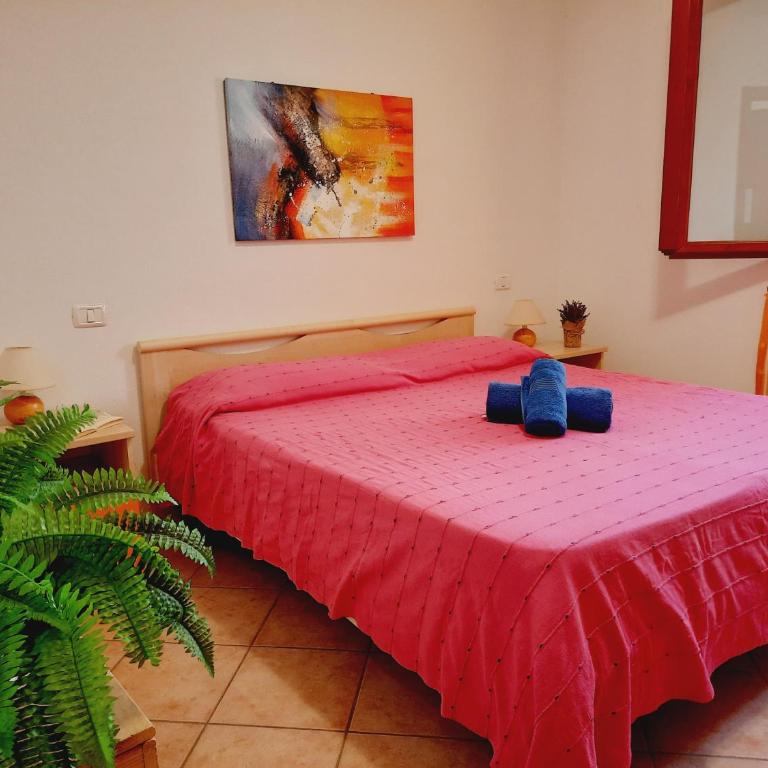 Santa Teresa Gallura Appartamenti - Appartamento con 1 Camera da Letto - 9