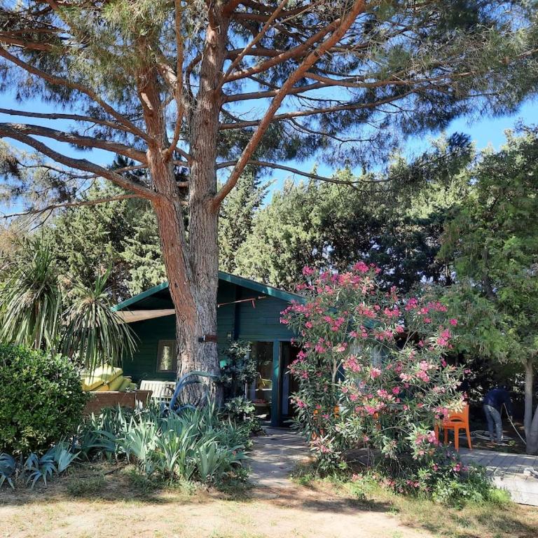 Mas Des Fleurs - Olive House - Two-Bedroom Apartment - 24