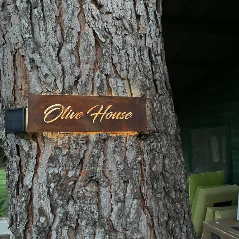 Mas Des Fleurs - Olive House - Two-Bedroom Apartment - 6