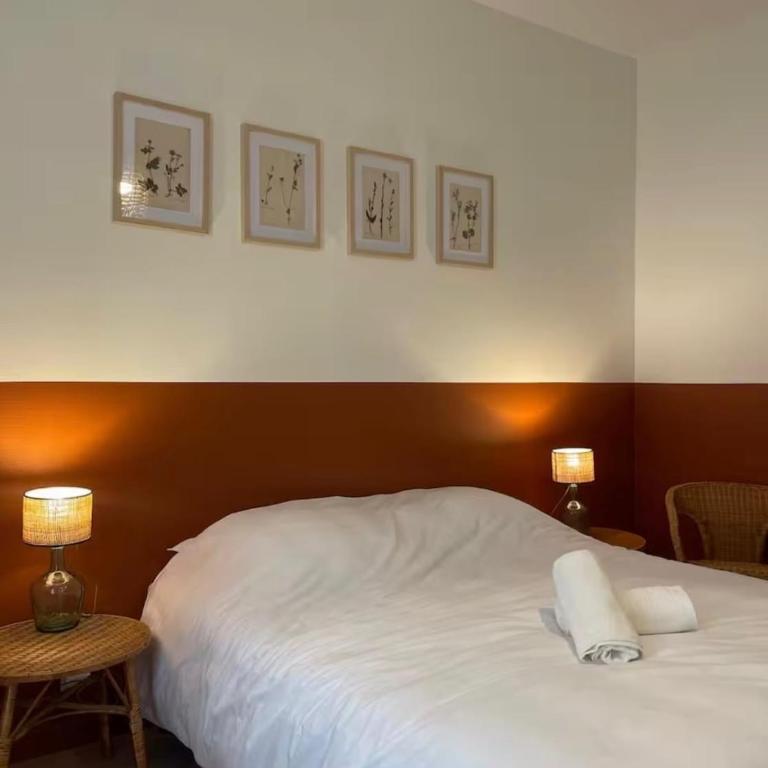 Appartement de charme, hyper centre - Appartement 1 Chambre - 7