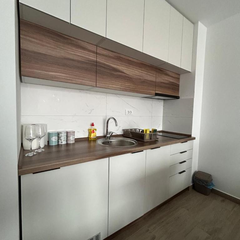 Apartmani Mir - Apartman sa 1 Spavaćom Sobom - 14