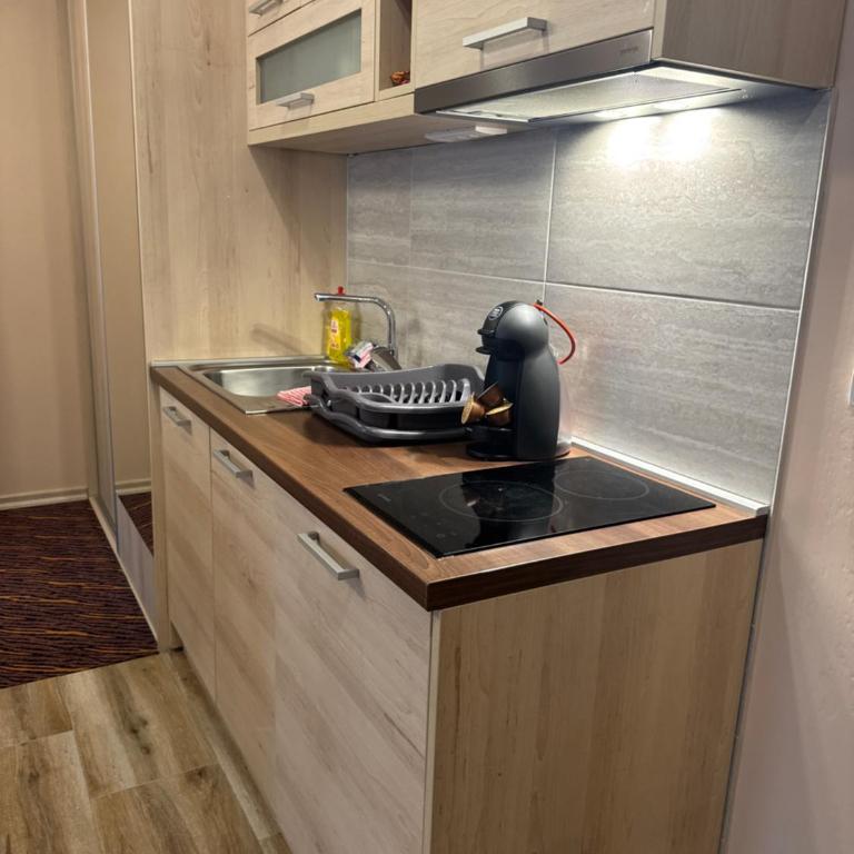 Vila Zvončica Apartman Z12 - One-Bedroom Apartment - 8