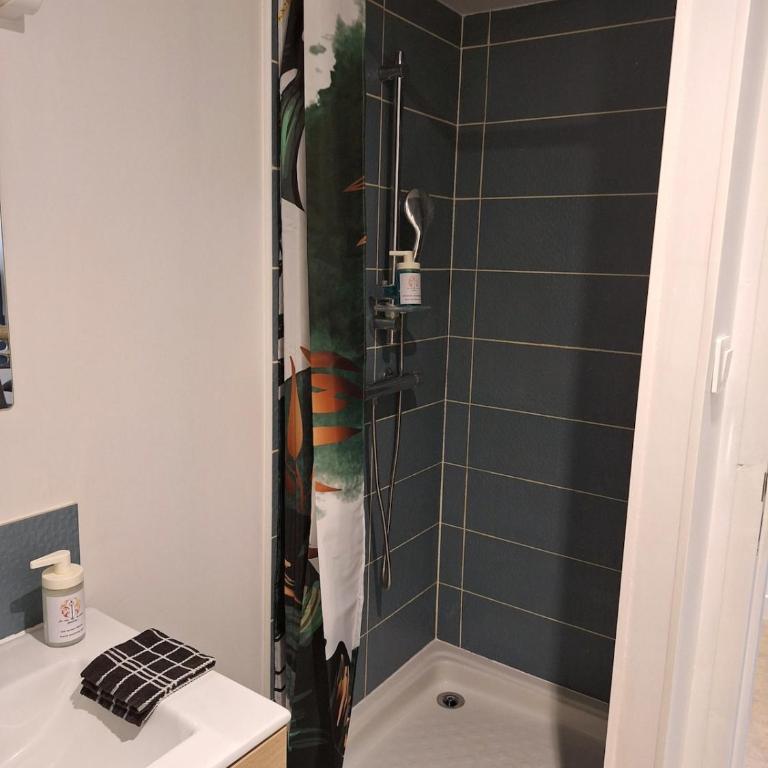 Jeny 3 - Duplex 4 pers - Wifi - 10mn Hypercentre - Lave linge - Calme - One-Bedroom Apartment - 9