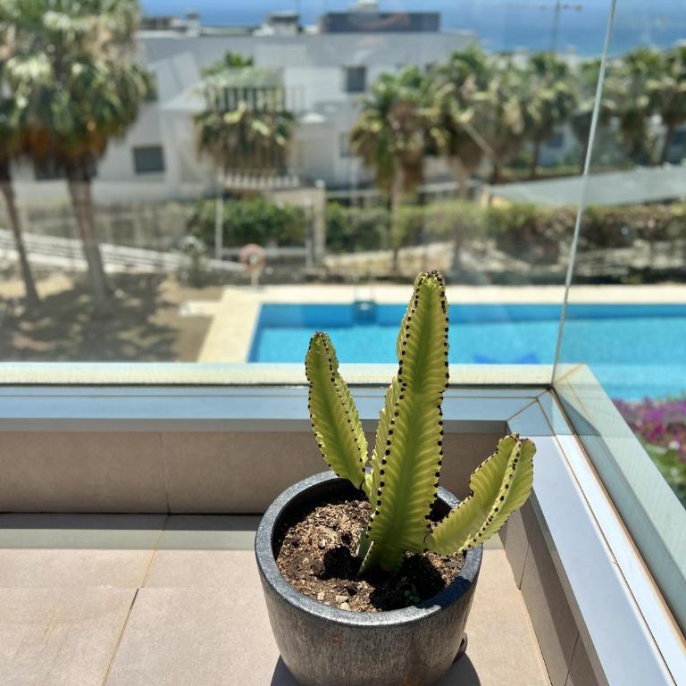 3 - Appartement proche du port de Cabopino a Marbella - Apartamento de 2 dormitorios con terraza - 4