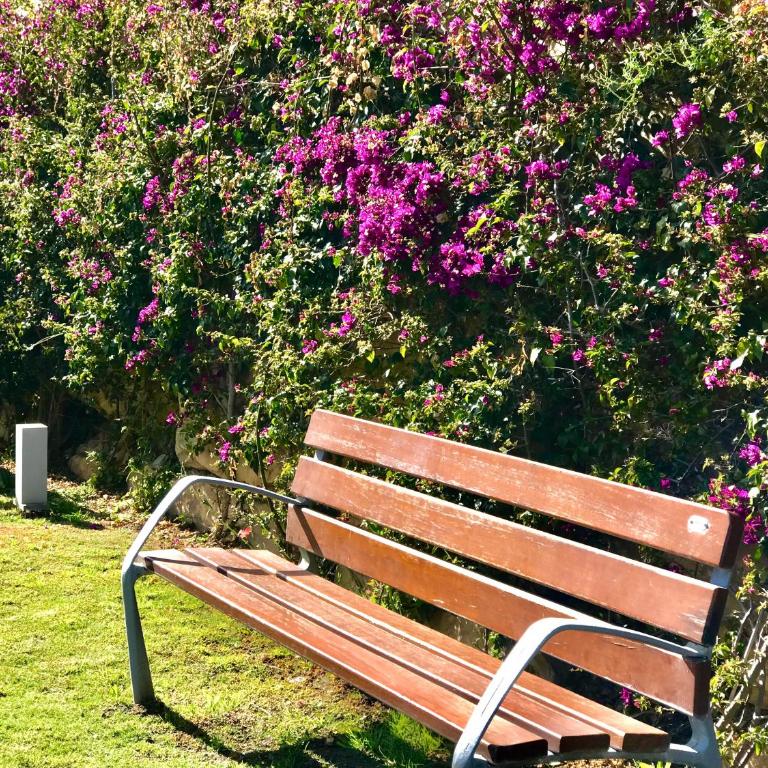 3 - Appartement proche du port de Cabopino a Marbella - Apartamento de 2 dormitorios con terraza - 32