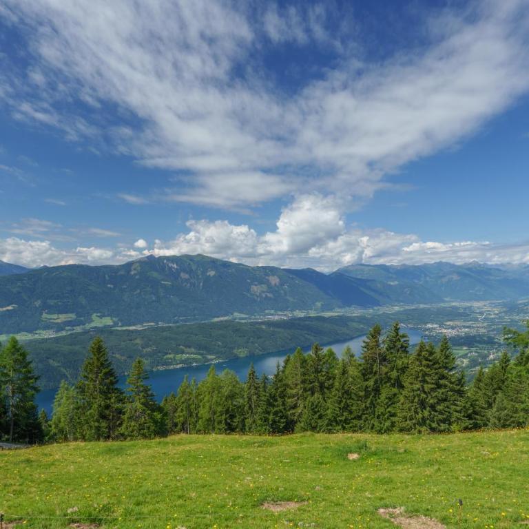 Götzfried-Almhütte - Alleinlage mit Panoramablick am Millstätter See - Haus mit 1 Schlafzimmer - 5
