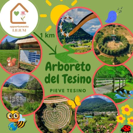 Appartamento LILIUM - Apartamento de 2 dormitorios - 21