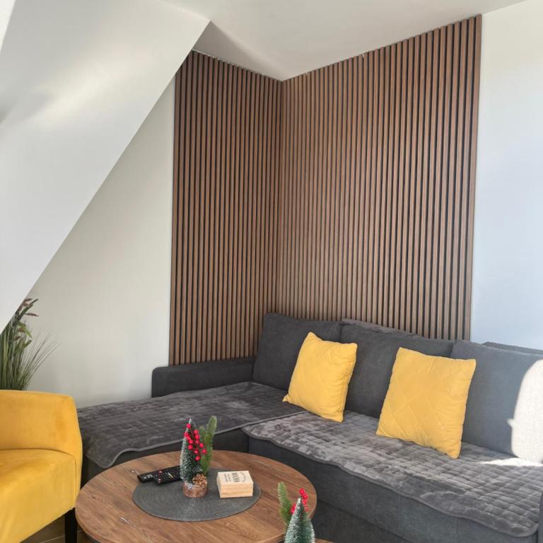 Apartman KaTija Divčibare preko puta hotel Crni Vrh - One-Bedroom Apartment with Balcony - 4
