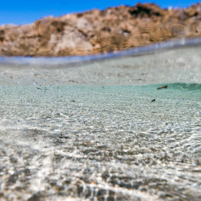 Villa Emanto SicilyMyHome - Villa - 36