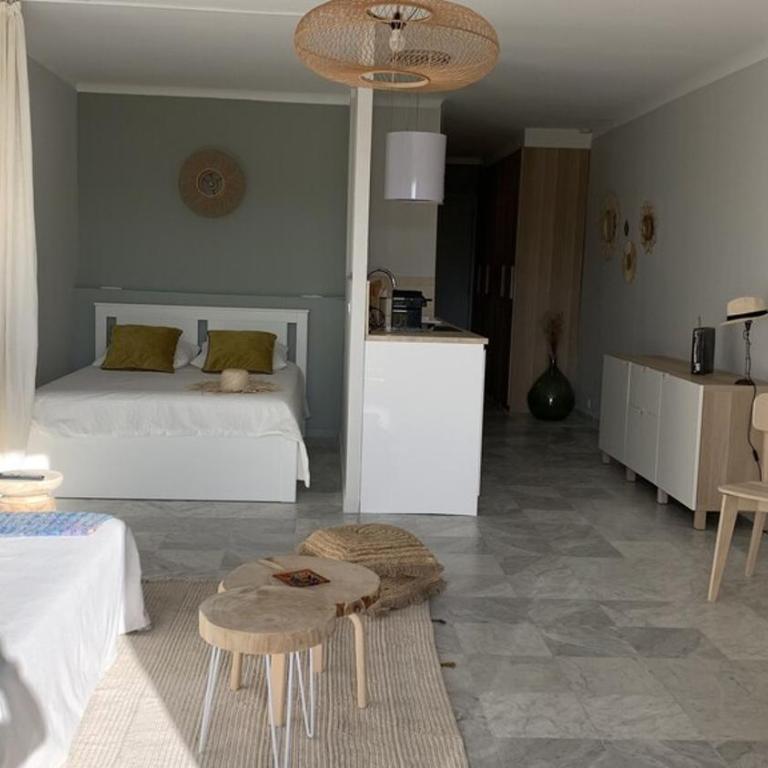 Charmant appartement 44 m2 vue mer à 350m de la plage - Appartamento con 1 Camera da Letto - 8