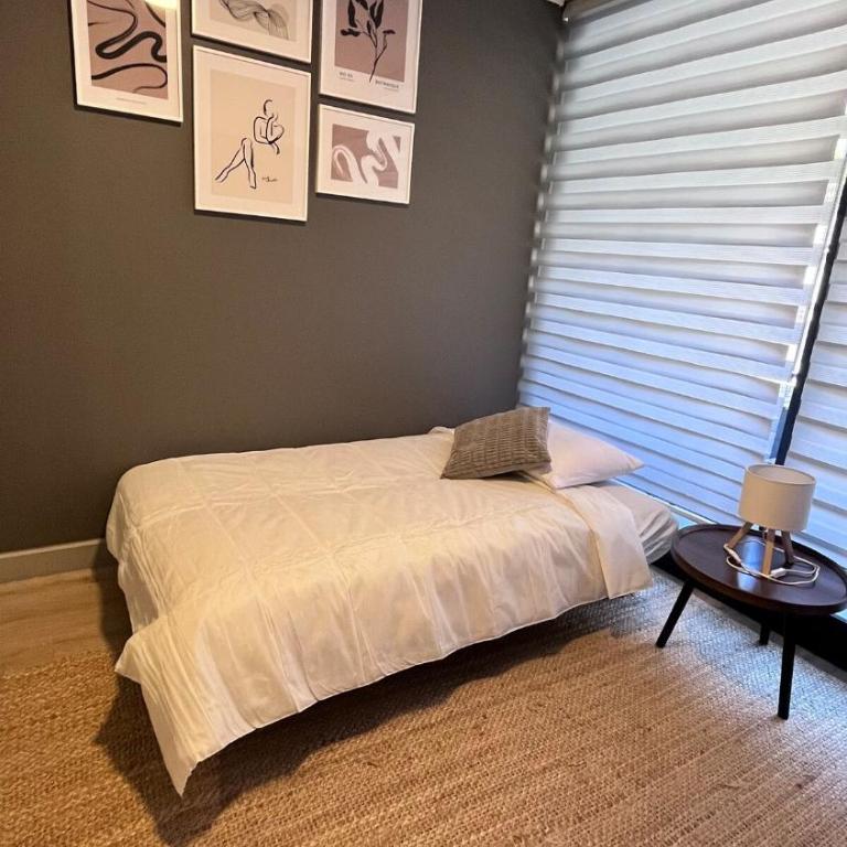 Acogedor y Luminoso departamento en Santiago - One-Bedroom Apartment - 17