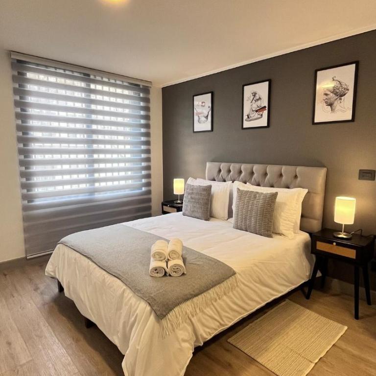 Acogedor y Luminoso departamento en Santiago - One-Bedroom Apartment - 18