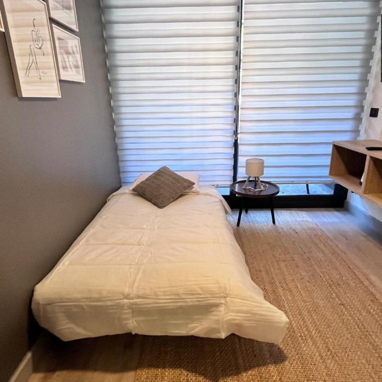 Acogedor y Luminoso departamento en Santiago - One-Bedroom Apartment - 40