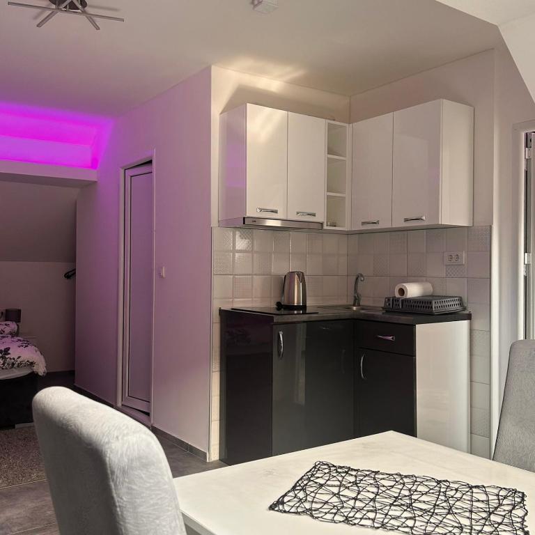 Studio nikola - Apartman sa 1 Spavaćom Sobom i Spa Kadom - 5