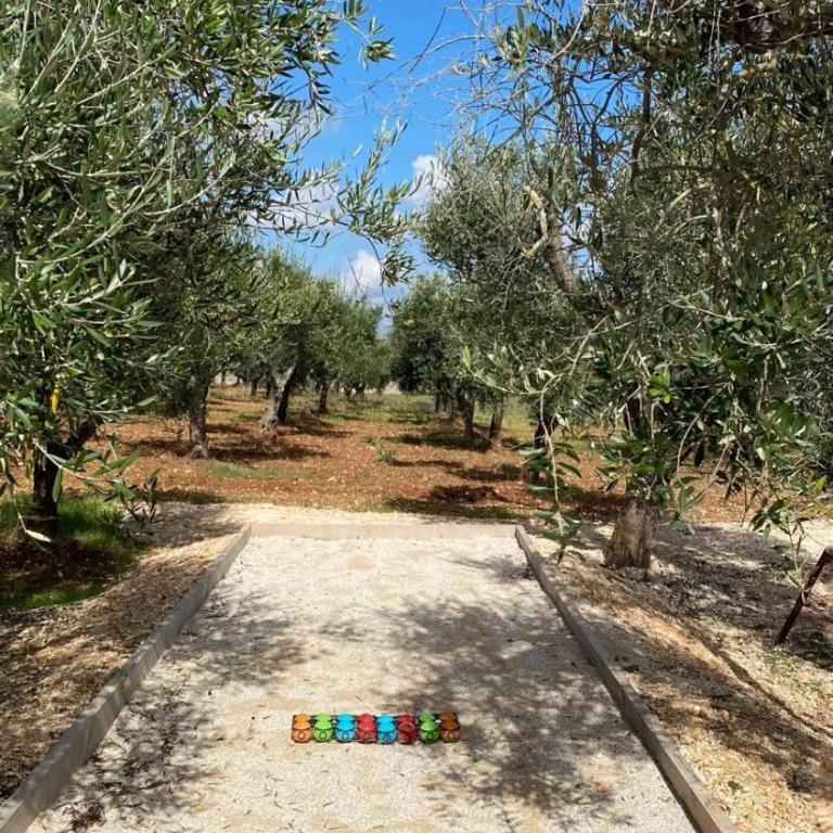 Trullo al borgo - Casa Vacanze - 3