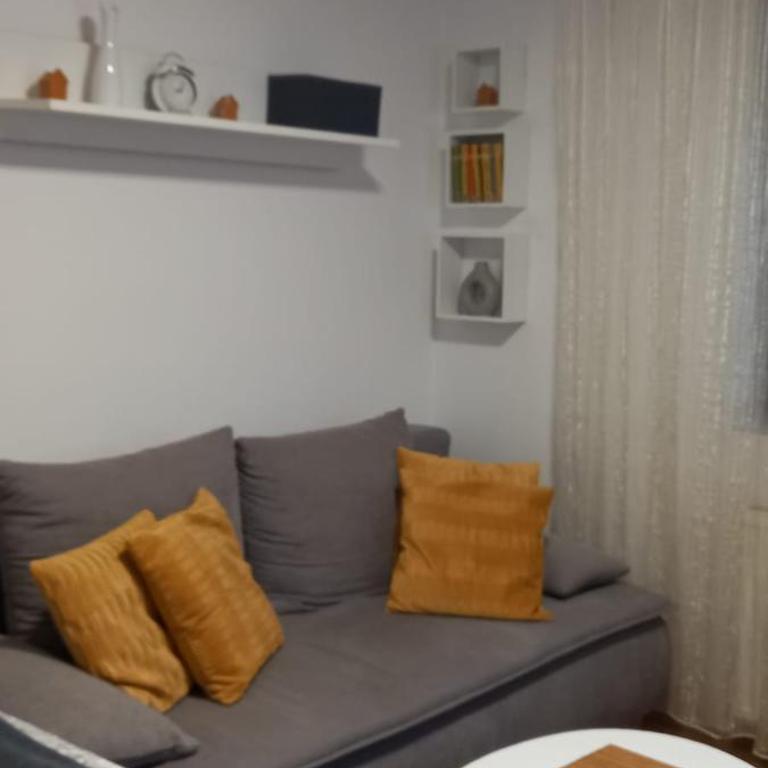 Zlatibor Apartman - One-Bedroom Apartment - 9