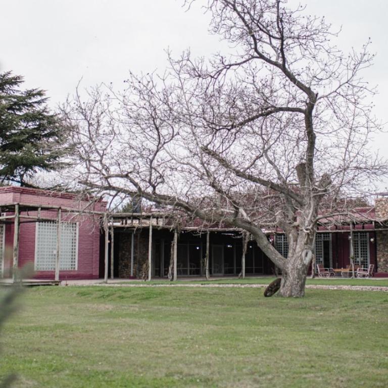Casona Bodega Enzo Bianchi - Villa con piscina privada - 13
