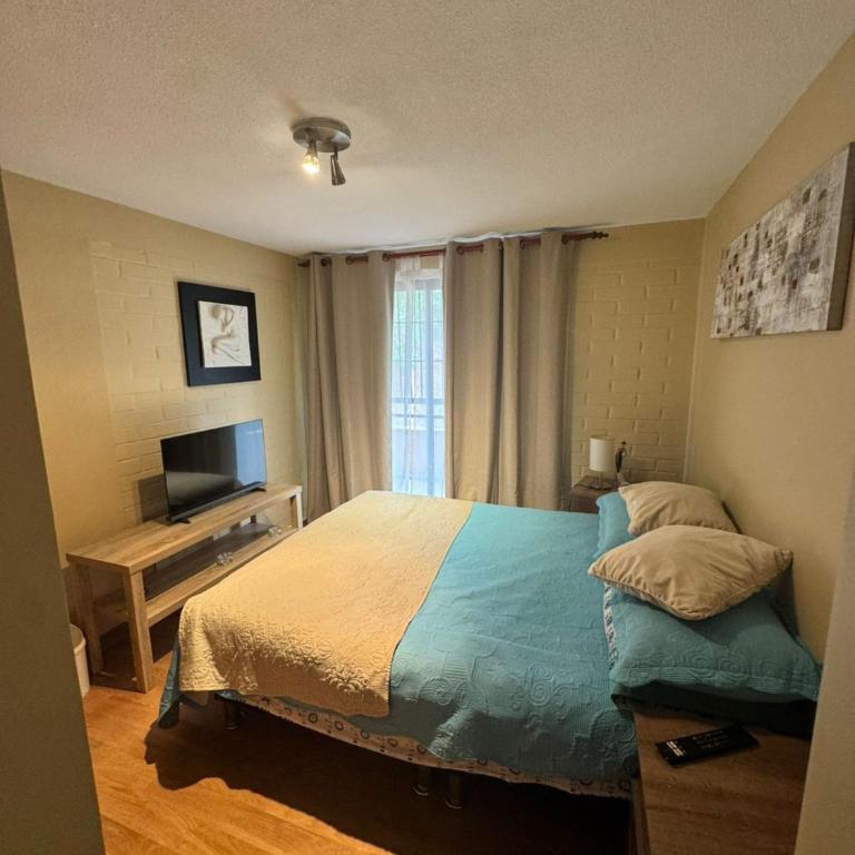 Viña del mar - Three-Bedroom Apartment - 5