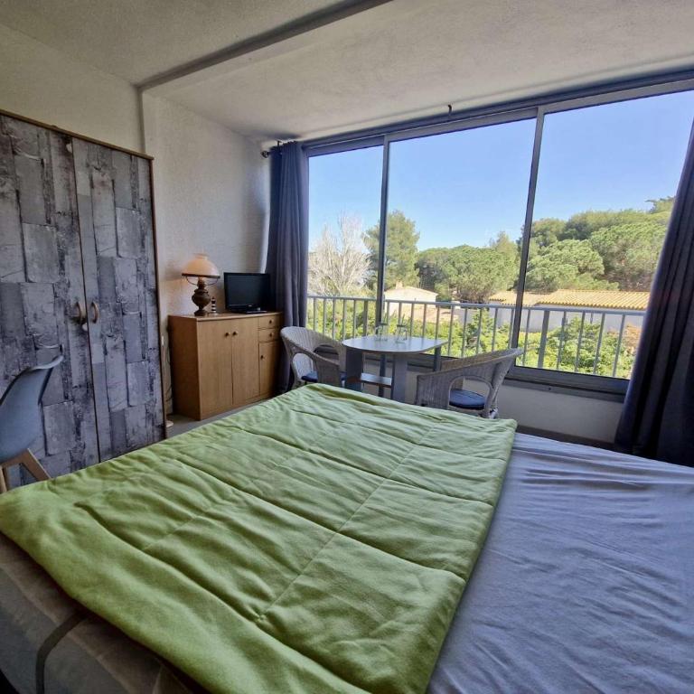 Appartement studio cabine 4 personnes SAINT CYPRIEN SC580-D47 - Appartamento Monolocale - 3
