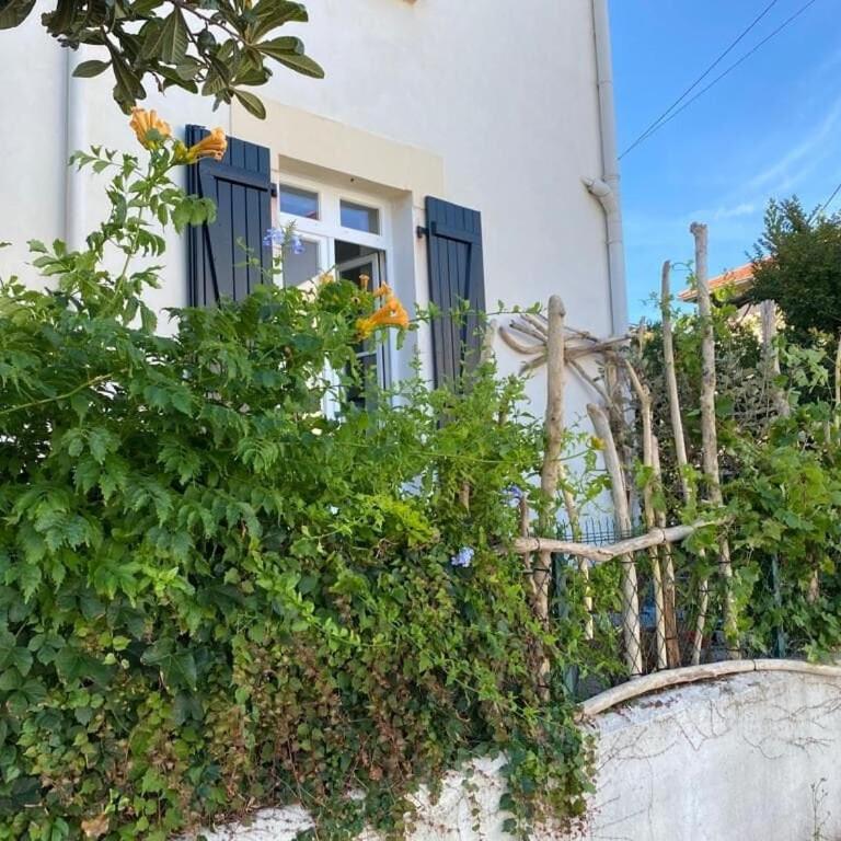 Cocon T2 Biarritz Beaurivage avec Extérieur - Appartamento con 1 Camera da Letto e Terrazza - 8