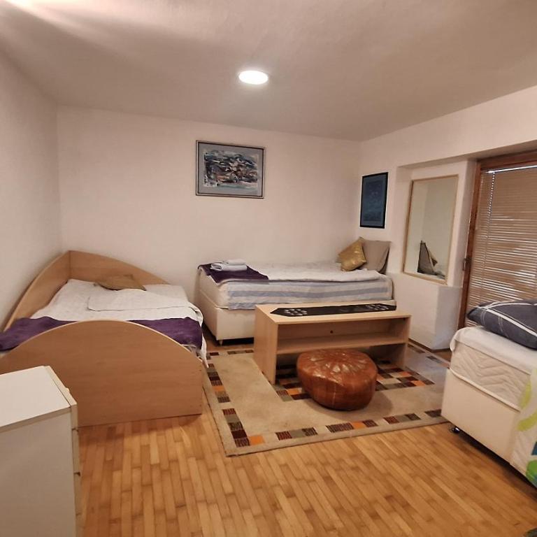 Ribica Apartman - Apartman sa 1 Spavaćom Sobom - 1