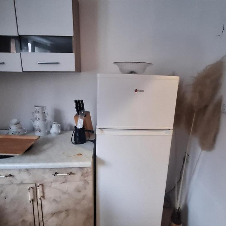 Ribica Apartman - Apartman sa 1 Spavaćom Sobom - 4