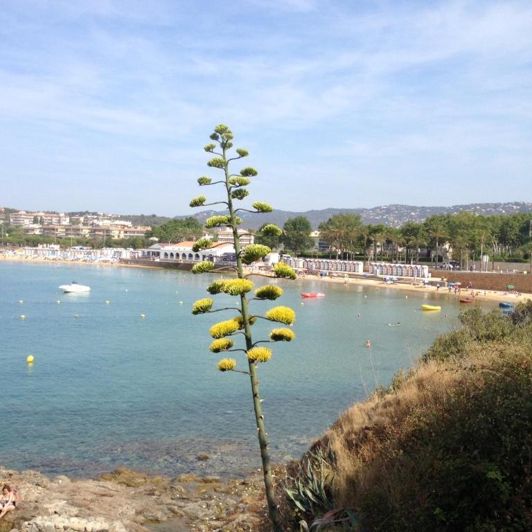 Apartment in Sant Feliu near the Beach - Apartamento de 2 dormitorios - 33