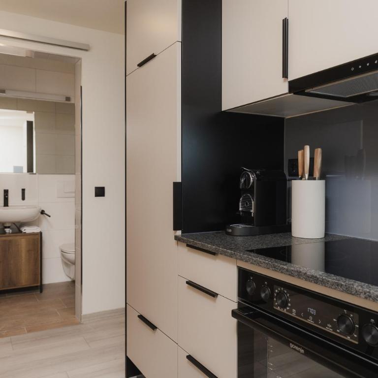ɅLPILɅ Apartments im Montafon - Berge & Design - Apartment mit 1 Schlafzimmer und Balkon - 7