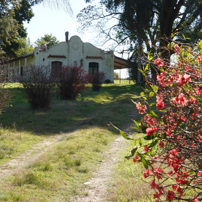Quinta San Miguel - Four-Bedroom House - 19