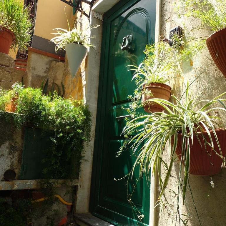 la scogliera - Apartamento de 1 dormitorio - 24