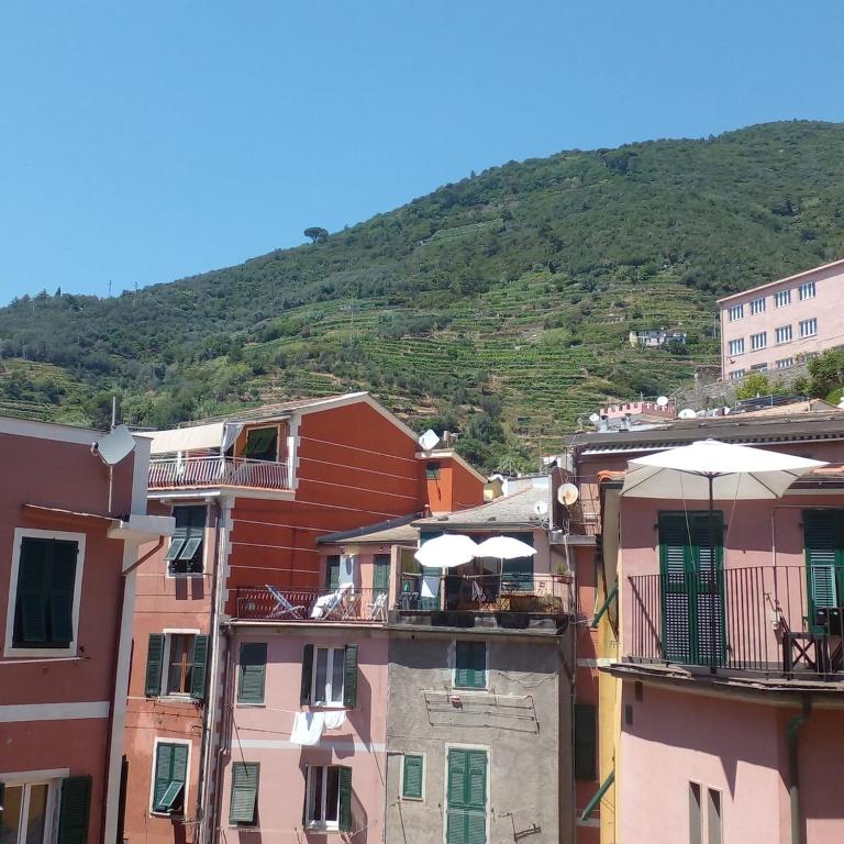 la scogliera - Apartamento de 1 dormitorio - 21