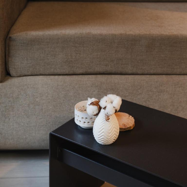 ɅLPILɅ Apartments im Montafon - Berge & Design - Apartment mit 1 Schlafzimmer und Balkon - 24