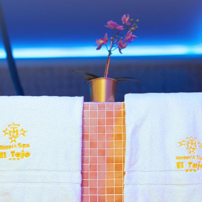 Hotel El Tajo & SPA - Habitación Individual con acceso al spa - 2