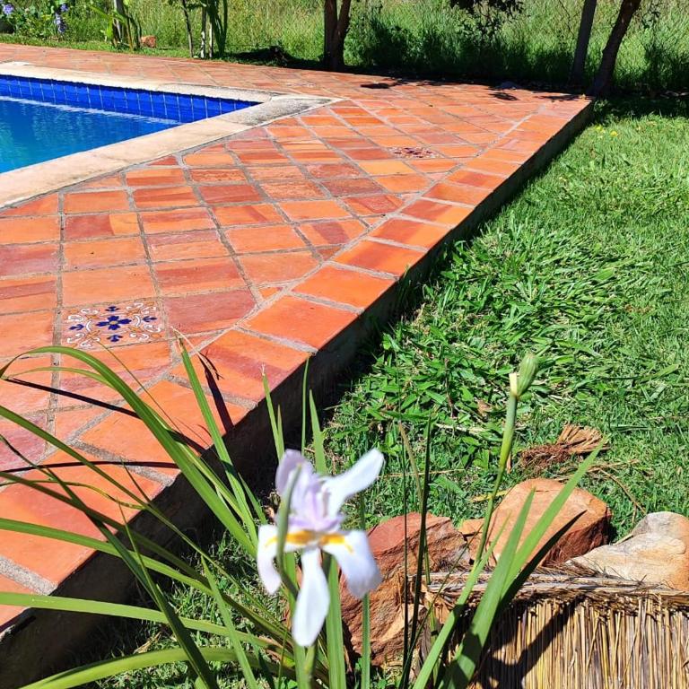 Casita de Natalia - Two-Bedroom House - 25