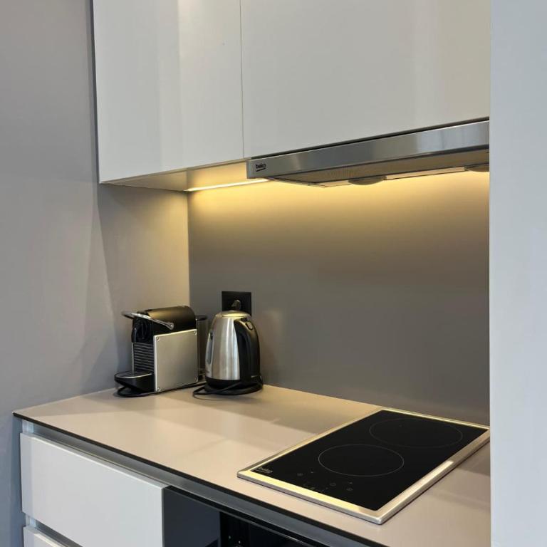 Belgrade Waterfront Cozy Studio - Studio sa Bračnim Krevetom (Queen-size) - 5