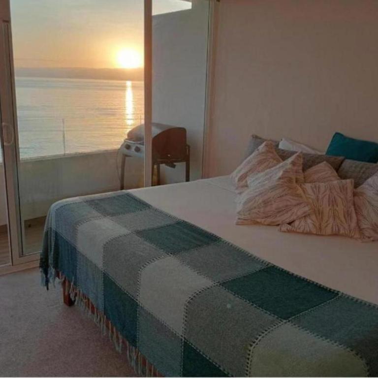Edificio Boulevard - One-Bedroom Apartment - 1