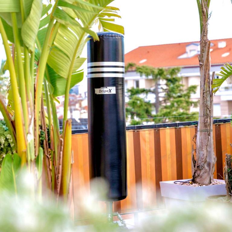 Jardin d'Eden - Incroyable Rooftop Jardin suspendu - Appartement 1 Chambre avec Vue sur la Mer et Terrasse - 47